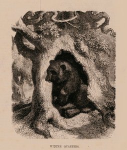 Winters kwartiertje (gravure) door English School