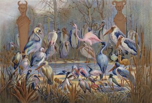 Wijs of Anderszins, een studie van vogelsoorten door English School