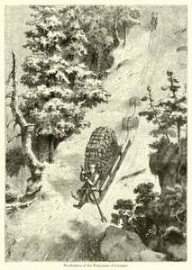 Houthakkers van de Cevennen (gravure)