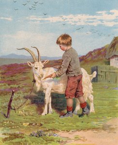 Jonge jongen voert een wortel aan een bok op een boerderij