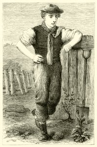 Jonge tuinier