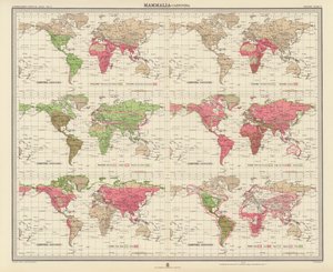 Zoogeografie: Mammalia, Carnivora