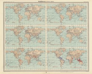 Zoogeografie: Mammalia, Cetacea, Sirenia door English School