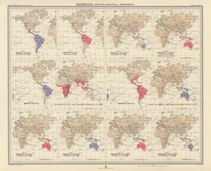 Zoogeografie: Mammalia, Edentata, Marsupialia, Monotremata door English School