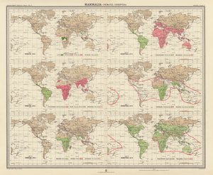 Zoogeografie: Mammalia, Primates, Chiroptera door English School