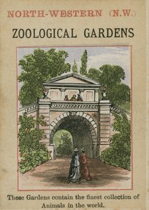 Dierentuin