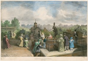 Zoological Gardens, Regent