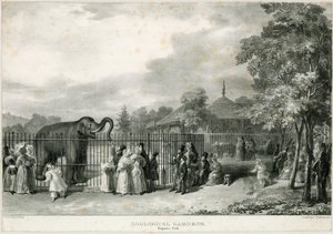 Zoologische Tuinen, Regents Park