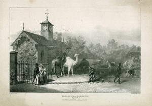 Zoologische Tuinen, Regents Park door English School