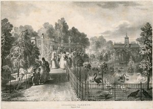 Dierentuin, Regents Park door English School