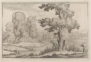 Herder en koeien die een rivier oversteken