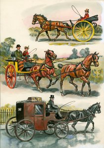 Paarden