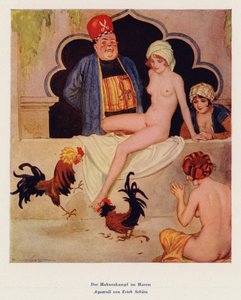 De hanengevecht in de harem