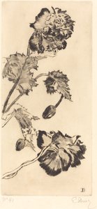 Bloemen (Fleurs) door Ernest Ange Duez