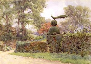 De oude taxushaag, Speldhurst, Kent