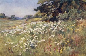 Zonneschijn in Weideland door Ernest Benger or Berenger
