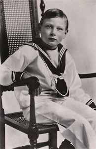 Z.K.H. Prins John, 1919