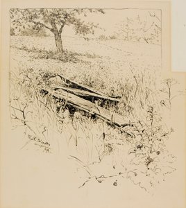 Verovering van Fort Ticonderoga door Ernest C. Peixotto