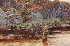 Forelvissen in Galloway
