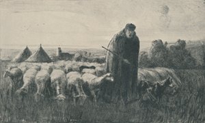 De Picardische Herder, 1919