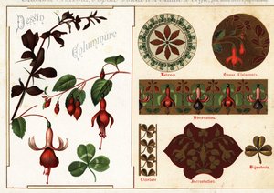 Afbeeldingen van fuchsia en berberis uit manuscripten