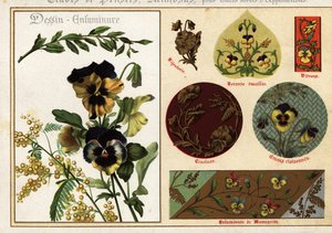 Afbeeldingen van viooltjes en mimosa uit manuscripten en hun toepassing door Ernest Guillot