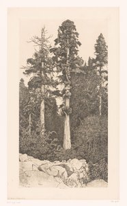 Sequoia boom door Ernest Haskell (signed by artist)