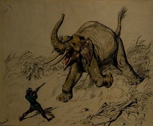 Olifantenjacht door Ernest Henry Griset