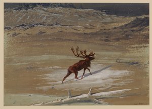 Hert door Ernest Henry Griset