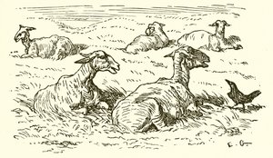 De Adelaar en de Kraai