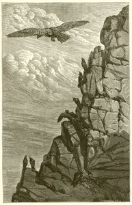 De Adelaar en de Kraai