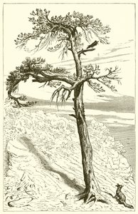 De Vos en de Bemanning door Ernest Henry Griset