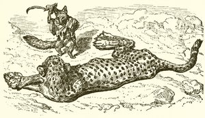 De Luipaard en de Vos