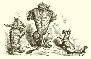 De leeuw, de vos en de wolf