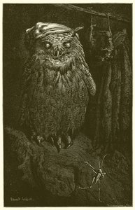 De uil en de sprinkhaan