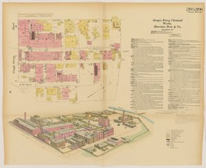 Grays Ferry Chemical Works, Grays Ferry Rd. (noordzijde) tussen Vierendertigste St. en Zesendertigste St., Hexamer General Surveys, 1888