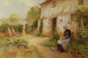 Aardappelen Schillen