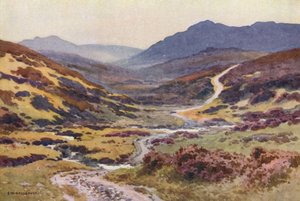 Een Moorland Pad, De Duivelsbrug (kleur litho)