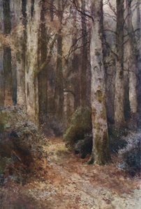 De Kathedraal