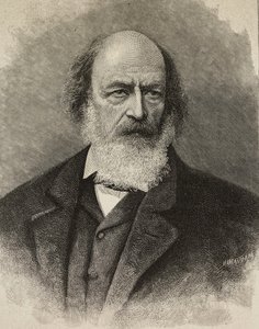 Portret van Alfred Tennyson (1809-1892), Britse dichter, gravure door Ernesto Mancastroppa van foto door Barraud, uit L
