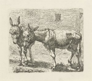 Twee ezels door Ernst Ludwig Creite