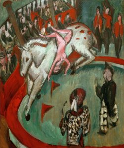 Circusamazone