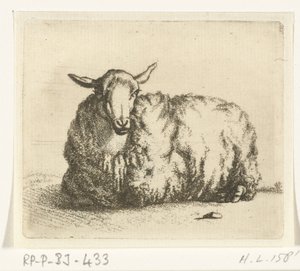 Liggend schaap van voren door Ernst Willem Jan Bagelaar