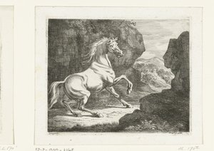 Stuiterende witte hengst door Ernst Willem Jan Bagelaar