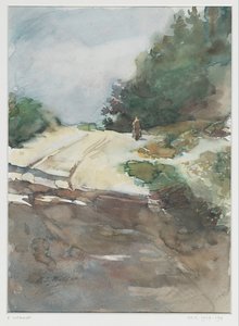 Zandweg door bosrijk landschap