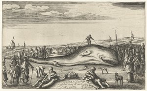 Gestrande potvis op het strand te Noordwijk, 1614 door Esaias van de Velde
