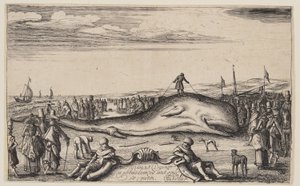 Beached Sperm Whale at Noordwijk door Esaias van den Velde I