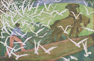 Vogels die een ploeg volgen door Ethel Spowers