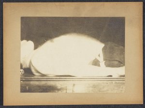 Marey in een studie van ademhaling door Etienne Jules Marey