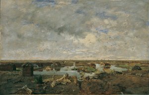 Groot moeraslandschap door Eugen Jettel